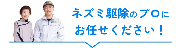 ネズミ駆除のプロにお任せください！